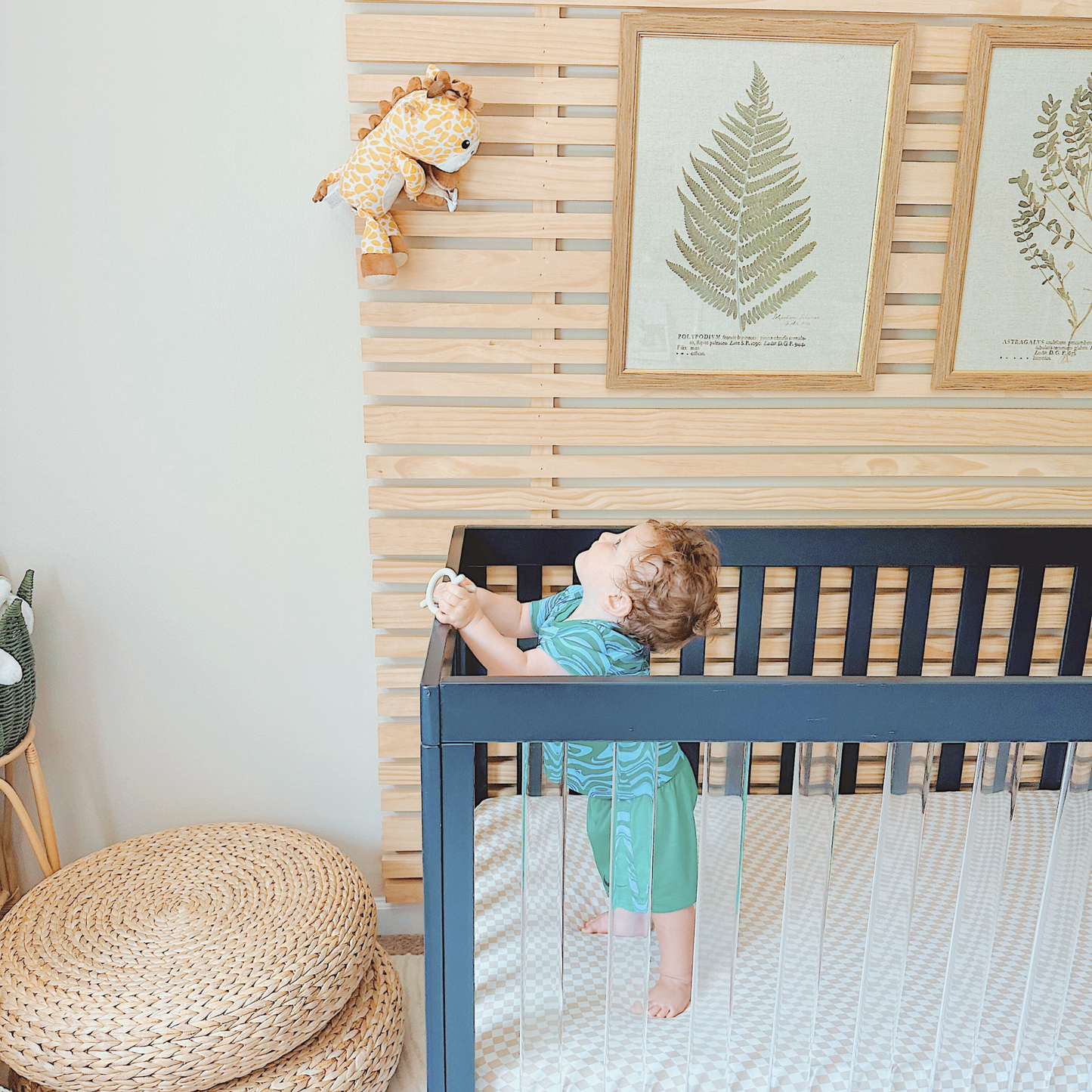 Monitor de bebé zooby® | Jordan Giraffe