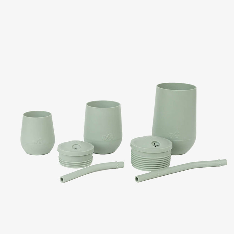 Juego de tazas de desarrollo