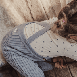 El mono de punto - Pizarra