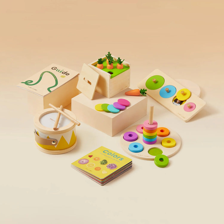 Juguetes Montessori Tiny Land® para niños pequeños (de 13 a 15 meses)