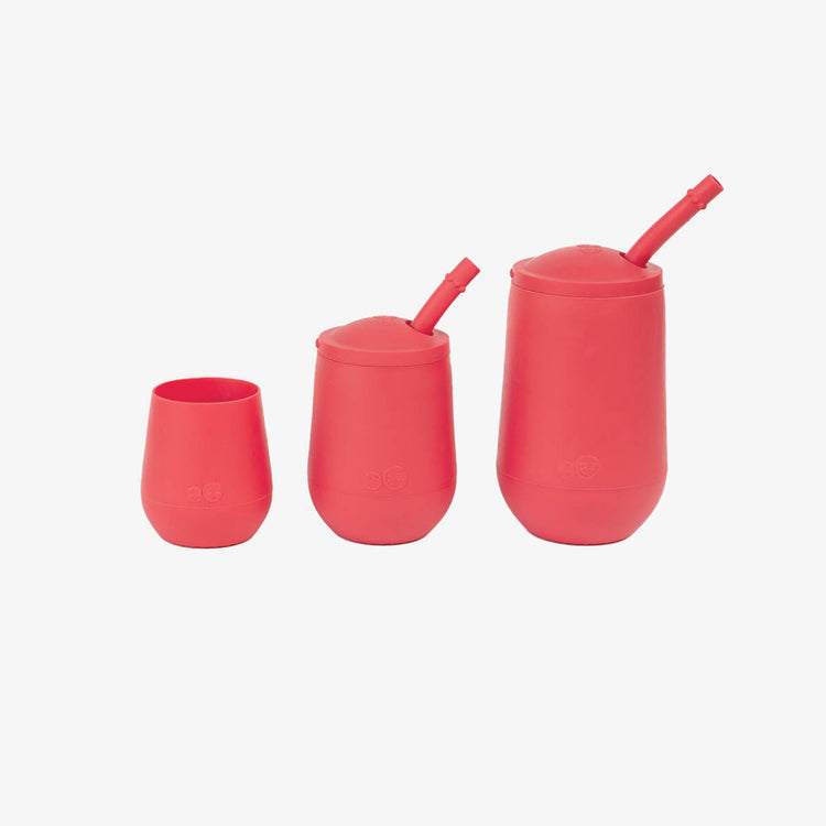 Juego de tazas de desarrollo