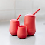 Juego de tazas de desarrollo